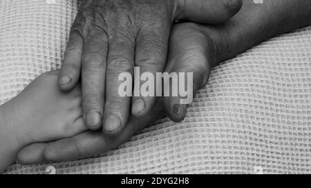 Closeup hands of great grandchild and her great grandmother. Diverse hands of 4 year old child and 81 year senior woman. Multi generation family love Stock Photo