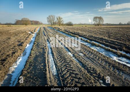 Muddy road with melting snow, plowed fields, winter day Stock Photo