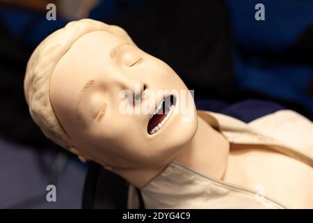 CPR first aid resuscitation adult man life size training dummy model, doll face closeup, detail, mannequin mouth wide open, medical equipment Stock Photo