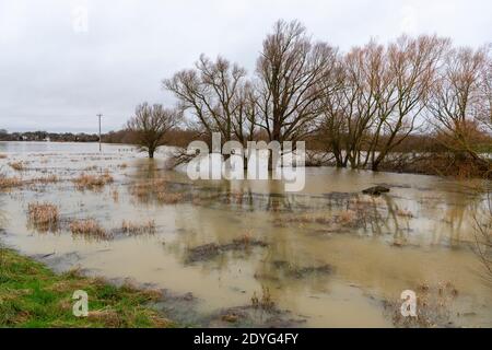 Earith Cambridgeshire, UK. 26th Dec, 2020. The River Great Ouse has burst it banks after recent heavy rain which has caused flooding along the Ouse Valley. The river is one of the main drainage systems for East Anglia taking water across East Anglia to the Wash and North Sea in Norfolk. Roads are closed, water levels are high and more heavy rain is forecast. Credit: Julian Eales/Alamy Live News Stock Photo