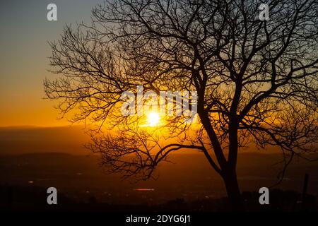 Sun setting through tree branches in winter on a clear day, England UK, UK sunset Stock Photo
