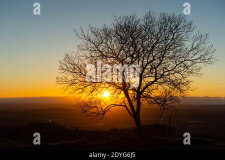 Sun setting through tree branches in winter on a clear day, England UK, UK sunset Stock Photo