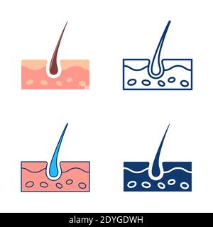 Skin icon set in flat and line style. Human skin and hair anatomy. Vector illustration. Stock Vector