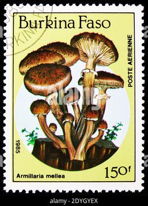 MOSCOW, RUSSIA - AUGUST 8, 2019: Postage stamp printed in Burkina Faso shows Armillaria mellea, Mushrooms serie, circa 1985 Stock Photo