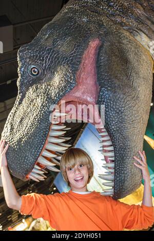 Birmingham Alabama,McWane Science Center centre hands on,Tyrannosaurus rex dinosaur statue life-like exhibit,teeth boy teeth humor humour, Stock Photo