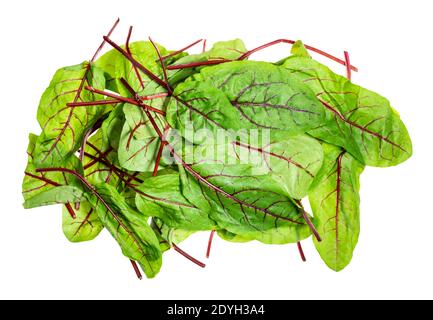 heap of fresh leaves of Chard leafy vegetable cut out on white background Stock Photo