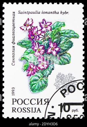 MOSCOW, RUSSIA - AUGUST 10, 2019: Postage stamp printed in Russia shows Saintpaulia ionantha hybrida, Flora serie, circa 1993 Stock Photo