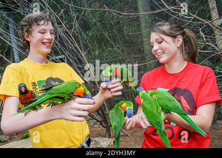 Birmingham Alabama,Zoo rainbow lorikeet parrots Trichoglossus moluccanus feeding,teen teens teenager teenagers teenage bird birds,boy male girl female Stock Photo