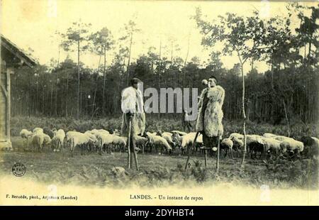 Carte Postale Ancienne - Landes : F. Bernède à Arjuzanx - Échassier Et Berger Landais