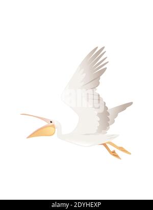 Pelican genus large water bird cartoon animal design big white bird flying with orange open beak flat vector illustration isolated on white background Stock Vector