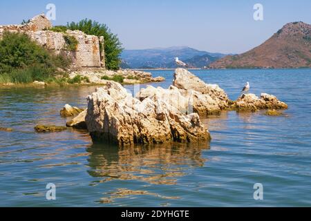 Picturesque lake with a ruined fort on a small island. View of Lake Skadar - the largest lake in the Balkans - on sunny summer day. Fortress Grmozur. Stock Photo