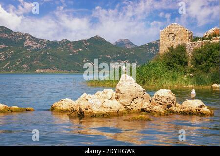 Picturesque lake with a ruined fort on a small island. View of Lake Skadar - the largest lake in the Balkans. Fortress Grmozur. Montenegro Stock Photo