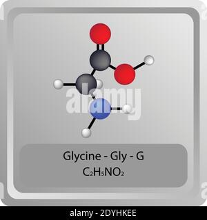 Glycine – Gly  – G Amino Acid chemical structure. Molecular formula ball and stick model Molecule. Biochemistry, medicine and science education. Stock Vector