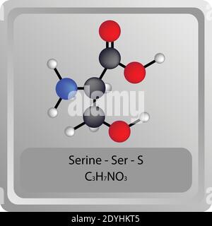 Serine – Ser – S Amino Acid chemical structure. Molecular formula ball and stick model Molecule. Biochemistry, medicine and science education. Stock Vector