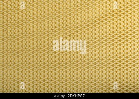 Yellow Honeycomb Seamless texture. Geometric abstract background. Template Stock Photo