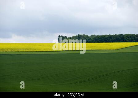 Today's farmers fields near the Lochnagar Crater were the site of fighting during the World War 1 Battle of the Somme, France. Stock Photo