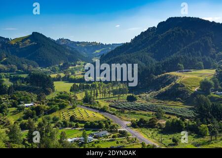 Rural hill country at Waitao in the Bay of Plenty, New Zealand. The small mountains are covered in pine plantations Stock Photo