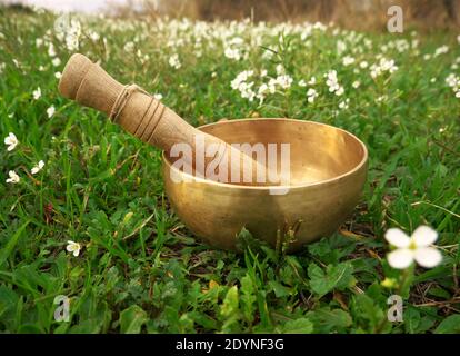 Singing bowl placed in the grass in the middle of small white flowers Stock Photo