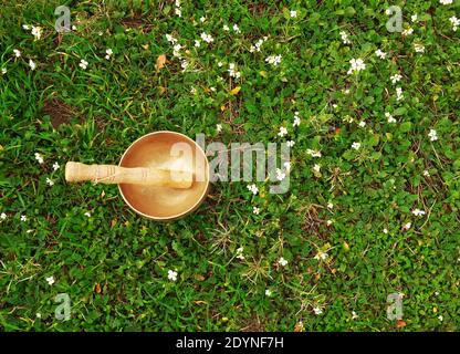 Singing bowl placed in the grass in the middle of small white flowers. Top view Stock Photo