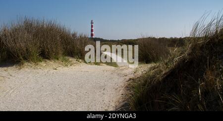 path leading through the dunes towards the historic lighthouse of hollum, ameland in the netherlands, vuurtoren Stock Photo