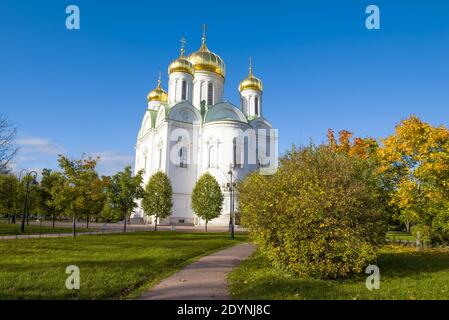 View of the Cathedral of the Holy Great Martyr Catherine on a sunny October day. Pushkin, Russia Stock Photo