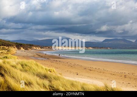 Newborough beach and sand dunes with the snow covered Snowdonia mountains in the background, Anglesey Stock Photo