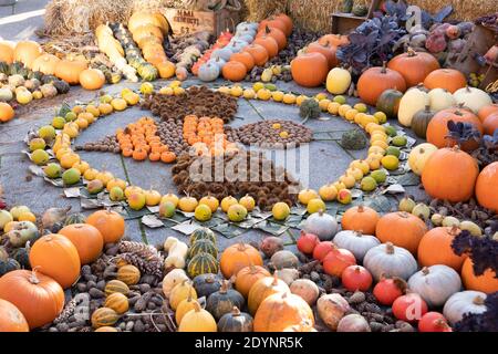 beautiful autumngarden composition with pumpkins. autumn cozy still life. pumpkins, autumn leaves. fall season, thanksgiving holiday, Halloween Stock Photo