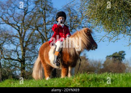 Arley, Worcestershire, UK. 27th Dec, 2020. Due to the low-key Boxing Day hunts due to Covid restrictions, 7-year-old Henley Mills gets to act out his own 'hunt' this morning. Dressed in his finest red tunic, hard hat and sitting masterfully on his mount Radish - a 7 year old pony - Henley has a moment of glory. Henley and his family, of Arley in Worcestershire would normally have attended the Albrighton and Woodland Hunt at Hagley Hall, but spectators and followers were absent due to Covid rules, which left him disappointed. Credit: Peter Lopeman/Alamy Live News Stock Photo