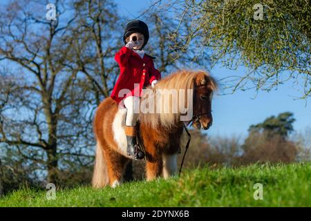 Arley, Worcestershire, UK. 27th Dec, 2020. Due to the low-key Boxing Day hunts due to Covid restrictions, 7-year-old Henley Mills gets to act out his own 'hunt' this morning. Dressed in his finest red tunic, hard hat and sitting masterfully on his mount Radish - a 7 year old pony - Henley has a moment of glory. Henley and his family, of Arley in Worcestershire would normally have attended the Albrighton and Woodland Hunt at Hagley Hall, but spectators and followers were absent due to Covid rules, which left him disappointed. Credit: Peter Lopeman/Alamy Live News Stock Photo