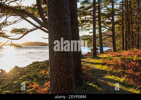 Sunset over Wast Water in the Lake District Stock Photo