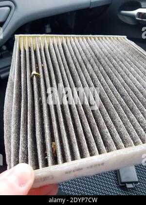 Dirty and dusty air filter from a car engine Stock Photo