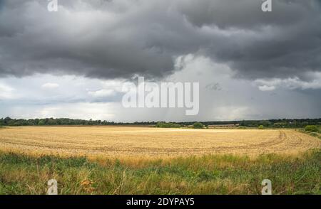 Clouds forming prior to a thunderstorm over late summer fields Stock Photo