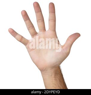 Male hand palm, five open fingers isolated on white background. Man show empty right hand, hi five, greeting, stop signal, fifth concept Stock Photo