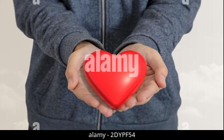 Man offering a red heart isolated on white background. Male cupped hands holding a red color heart, love, valentine, organ donation concept.  3d illus Stock Photo
