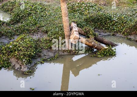 Broken pillar of a bridge above the small dried river in Bangladesh Stock Photo