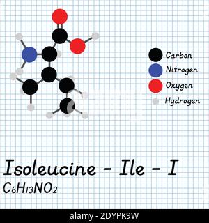 Isoleucine - Ile - I Amino Acid molecular formula and chemical structure . 2D Ball and stick model on school paper sheet background. EPS10 Stock Vector