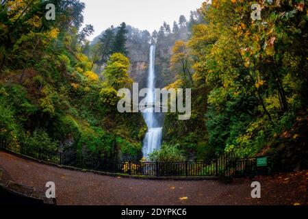 Unique perspective of Multnomah Falls in autumn Stock Photo