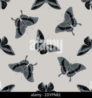 Seamless pattern with hand drawn stylized wallace s golden birdwing, emerald swallowtail, swallowtail butterfly Stock Vector