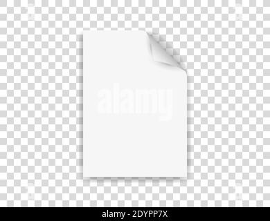 Paper with a curled edge. Vector illustration. Stock Vector