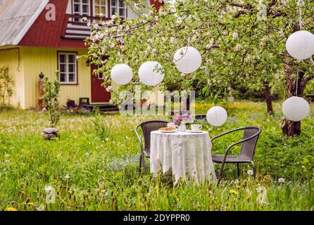 Patio furniture in apple garden on wild long lawn, table covered with white tablecloth and white paper lanterns hanging from apple tree. Cute wood. Stock Photo