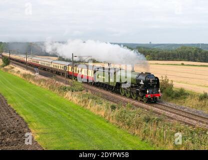 2008 built steam locomotive 60163 Tornado passing Plawsworth on the east coast mainline in 2015, Co. Durham, England, UK