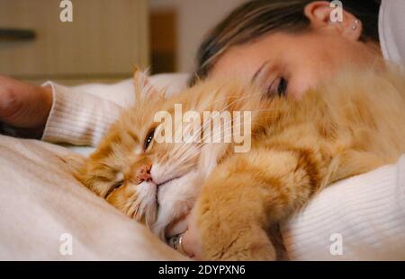 A ginger cat and a woman sleeping Stock Photo