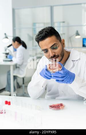 Young gloved male researcher in whitecoat holding petri dish with piece of raw vegetable meat while studying its characteristics in laboratory Stock Photo