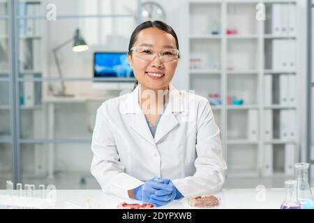 Happy young gloved Asian female in whitecoat and eyeglasses sitting by workplace with two samples of raw vegetable meat in petri dishes Stock Photo