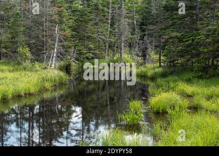 This small narrow section of river connects and runs thru The Appalachian Trail. The Presidential Range of mountains is across from here. Northern New Stock Photo