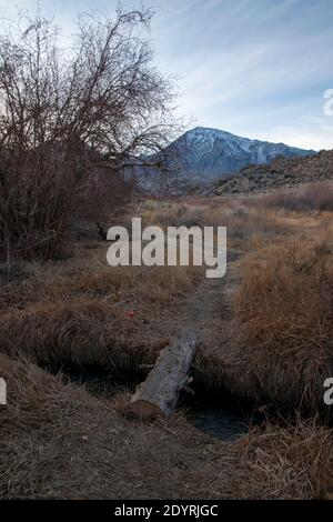 This is an old mining site, close to Buttermilk Road in the hills above Bishop, Inyo County, CA, USA. Stock Photo