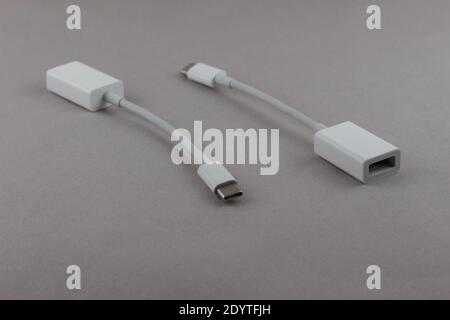 two white USB-C to USB adapters showing both ends, for connecting devices with USB cables to devices with USB-C ports, on a gray background Stock Photo