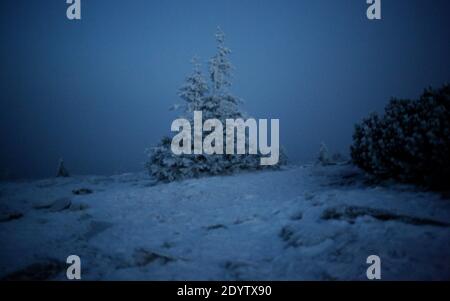 Pilsko peak at night in winter. Stock Photo