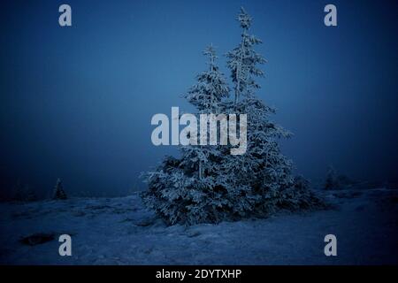 Pilsko peak at night in winter. Stock Photo