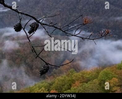 Breaks Interstate Park Virginia Stock Photo